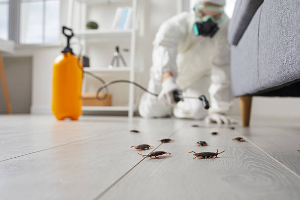 Commercial Kitchen Cockroach Control in Estancia
